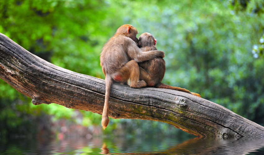 onze visie duurzaamheid