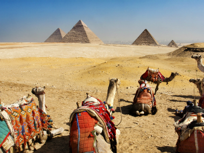 Online bestellen: Groepsreis Egypte; Van Noord naar Zuid