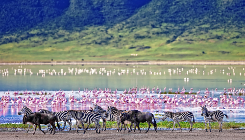 Verken de Ngorongorokrater
