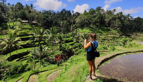 Immense groene rijstterrassen