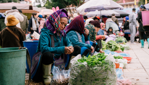 De zondagsmarkt van Bac Ha