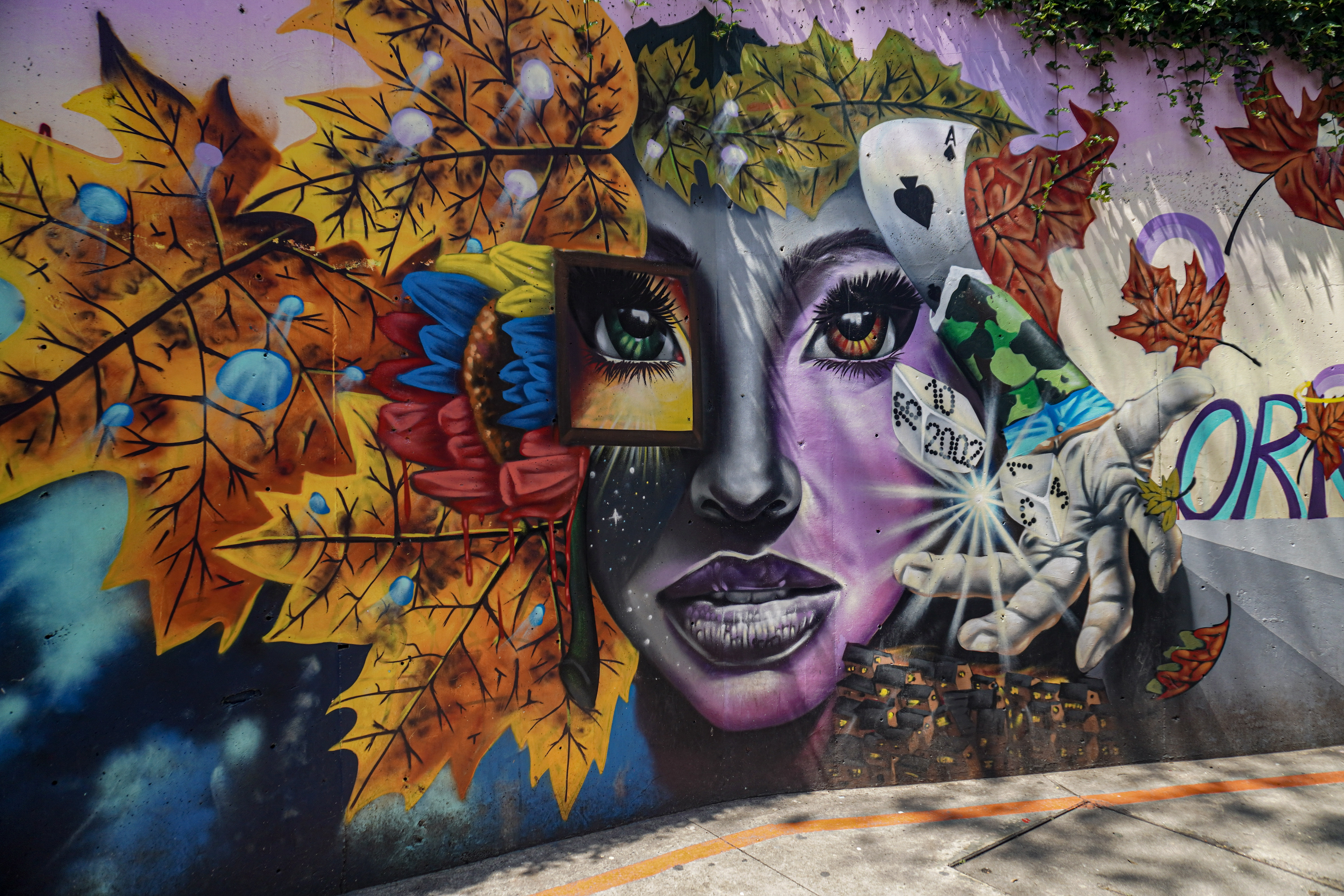 De street art van Colombia