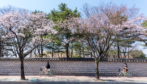 Fiets terug in de tijd 