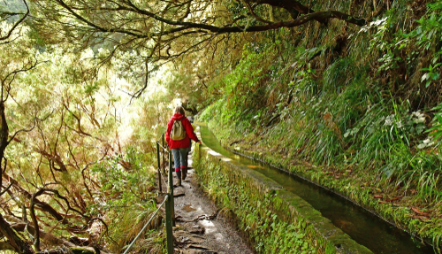 Levada wandelingen